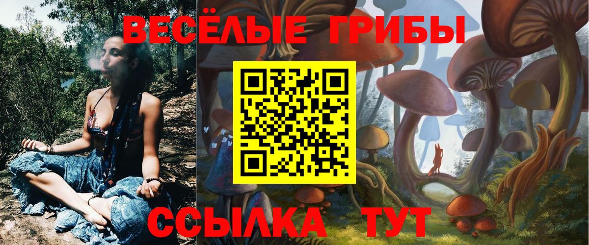 Галлюциногенные грибы Psilocybine cubensis Ростов-на-Дону